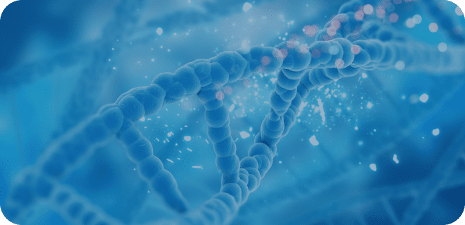 Eukaryotic mRNA-seq (human/mouse)