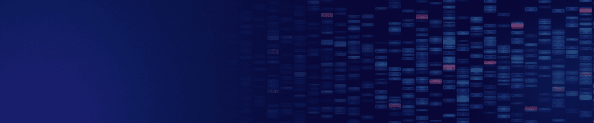 banner laptop bg