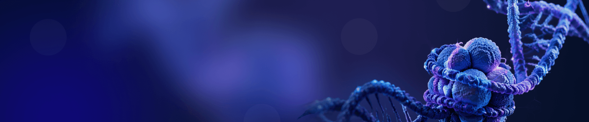 banner laptop bg