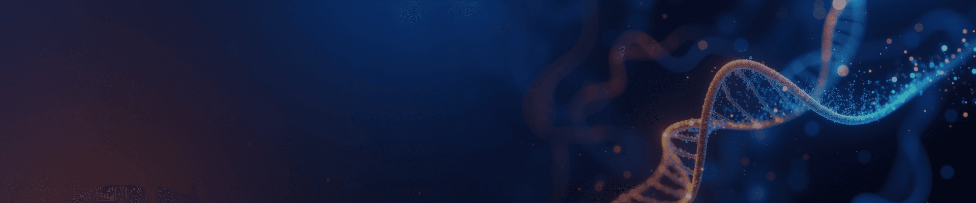 banner laptop bg