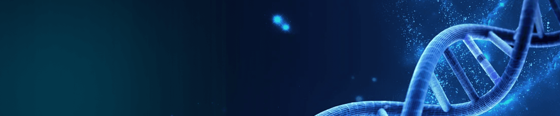 banner laptop bg