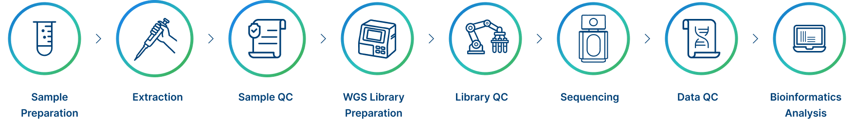 Project Workflow