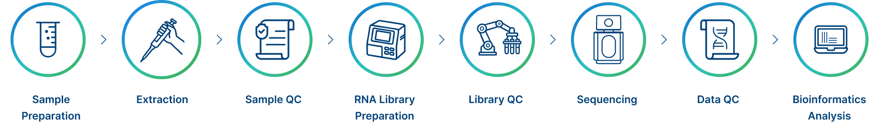 Project Workflow
