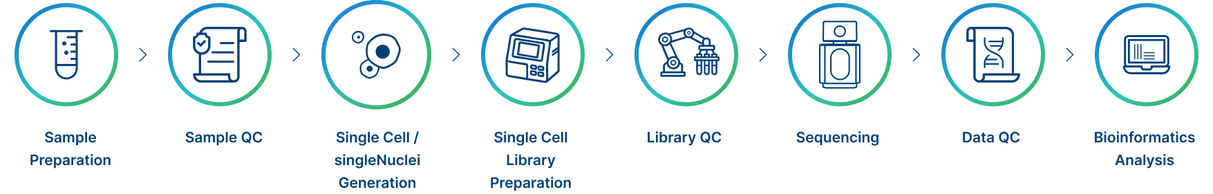 Project Workflow