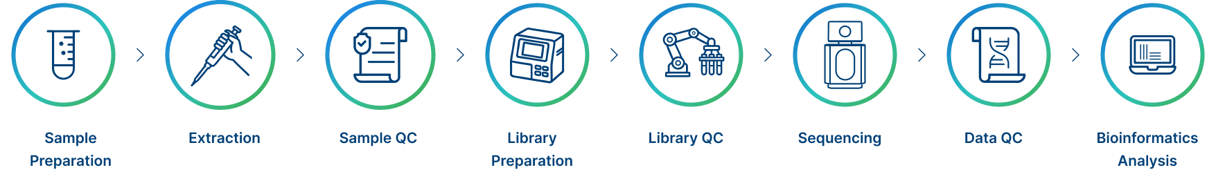 Project Workflow
