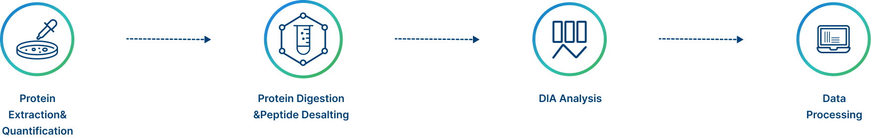 Project Workflow