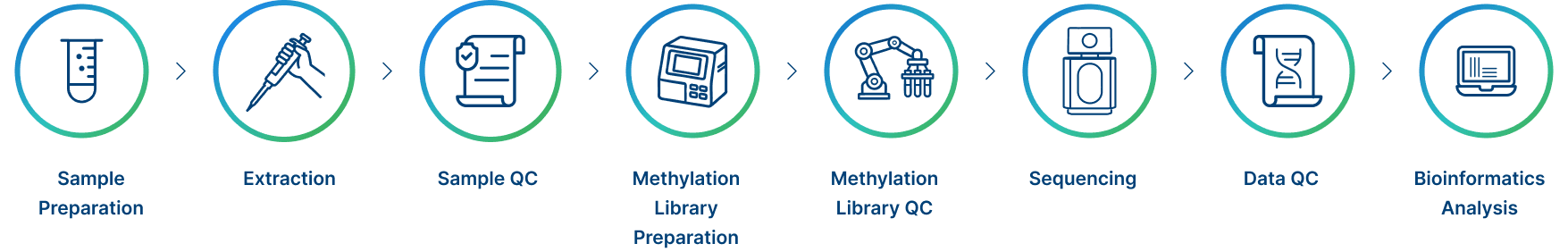 Project Workflow