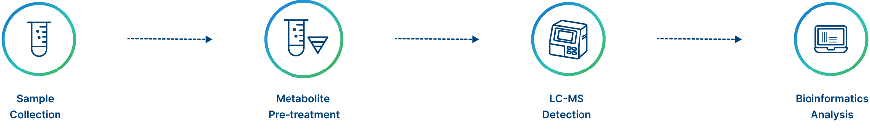 Project Workflow