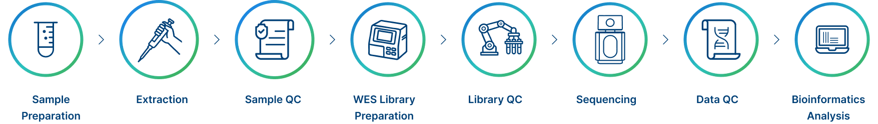 Project Workflow
