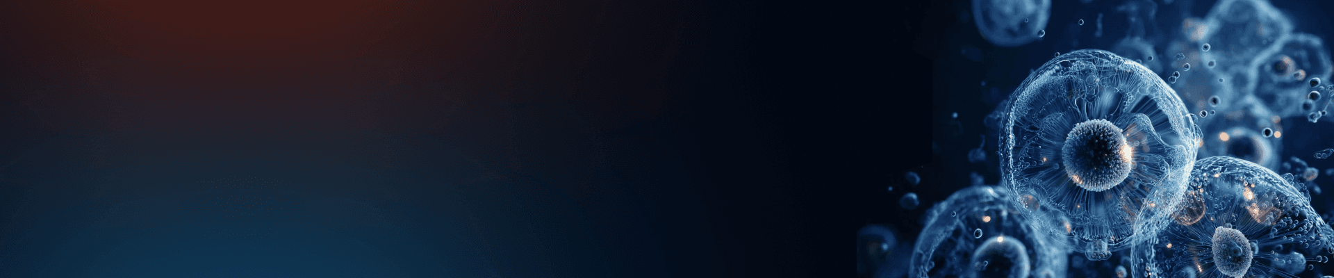 banner laptop bg