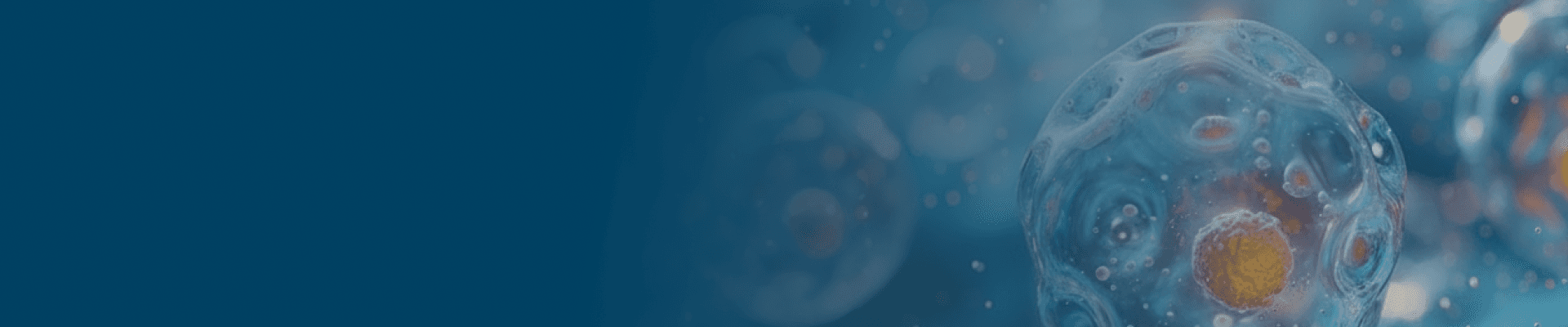 banner laptop bg
