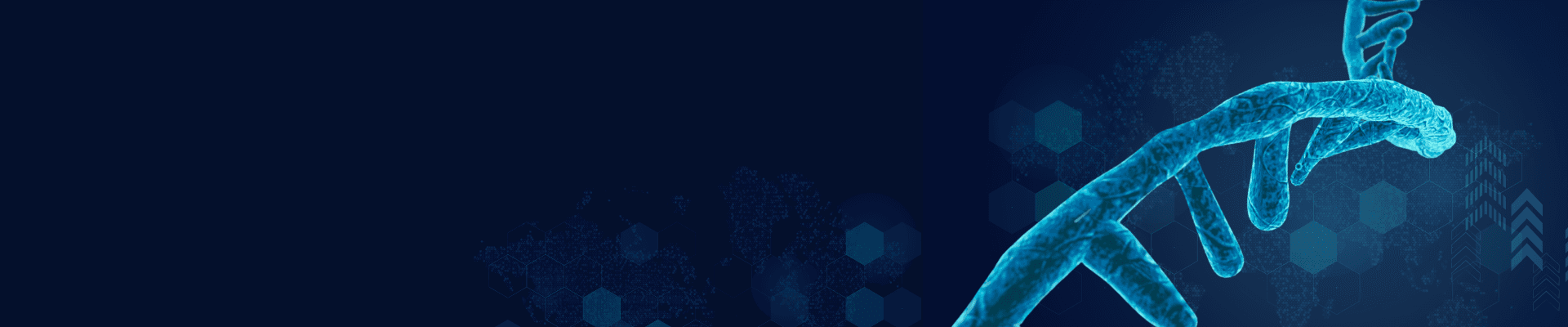banner laptop bg
