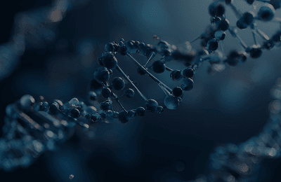 Amplicon Sequencing
