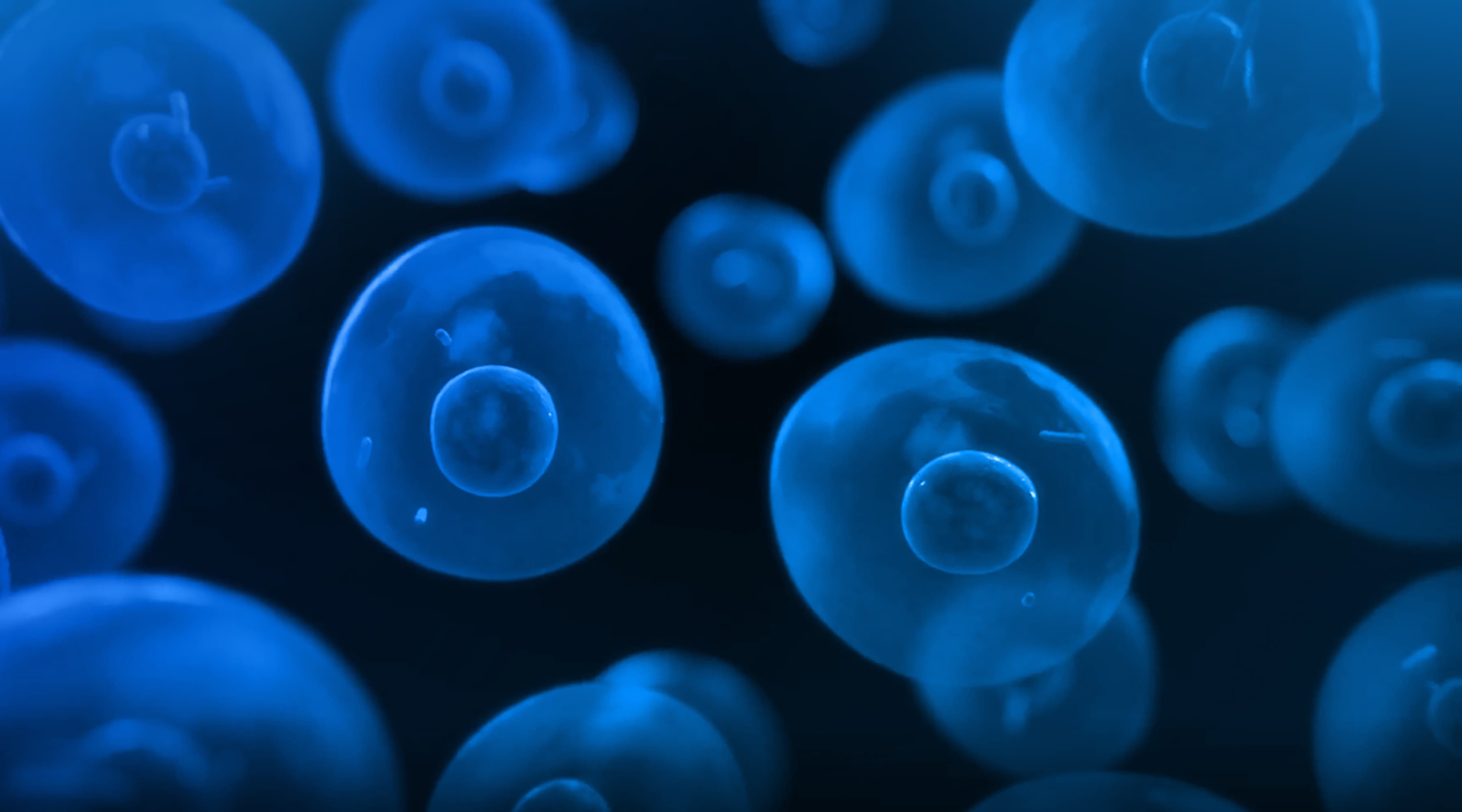 Single-cell