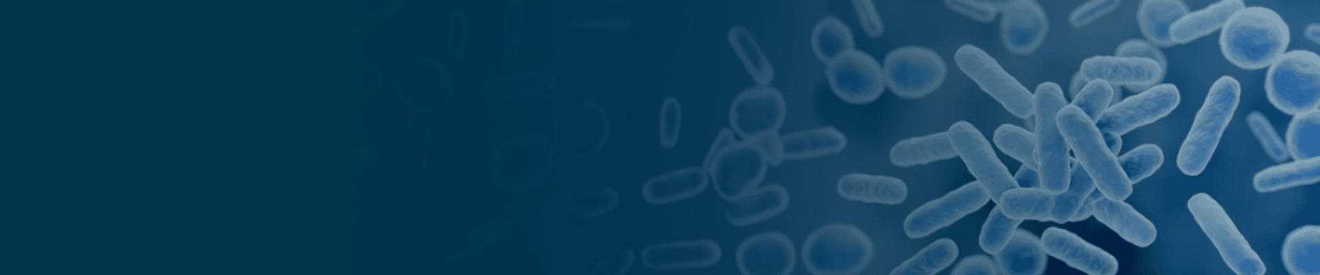 banner laptop bg