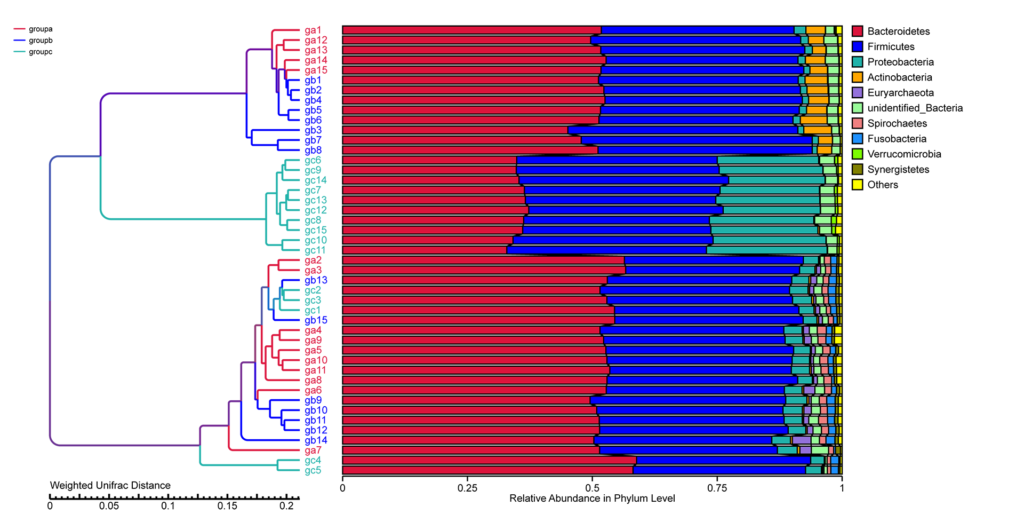 Novogene Amplicon UPGMA Cluster Tree based on Weighted Unifrac Distance